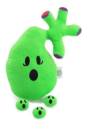 Gallbladder Plush, Body Organ Stuffed Toy
