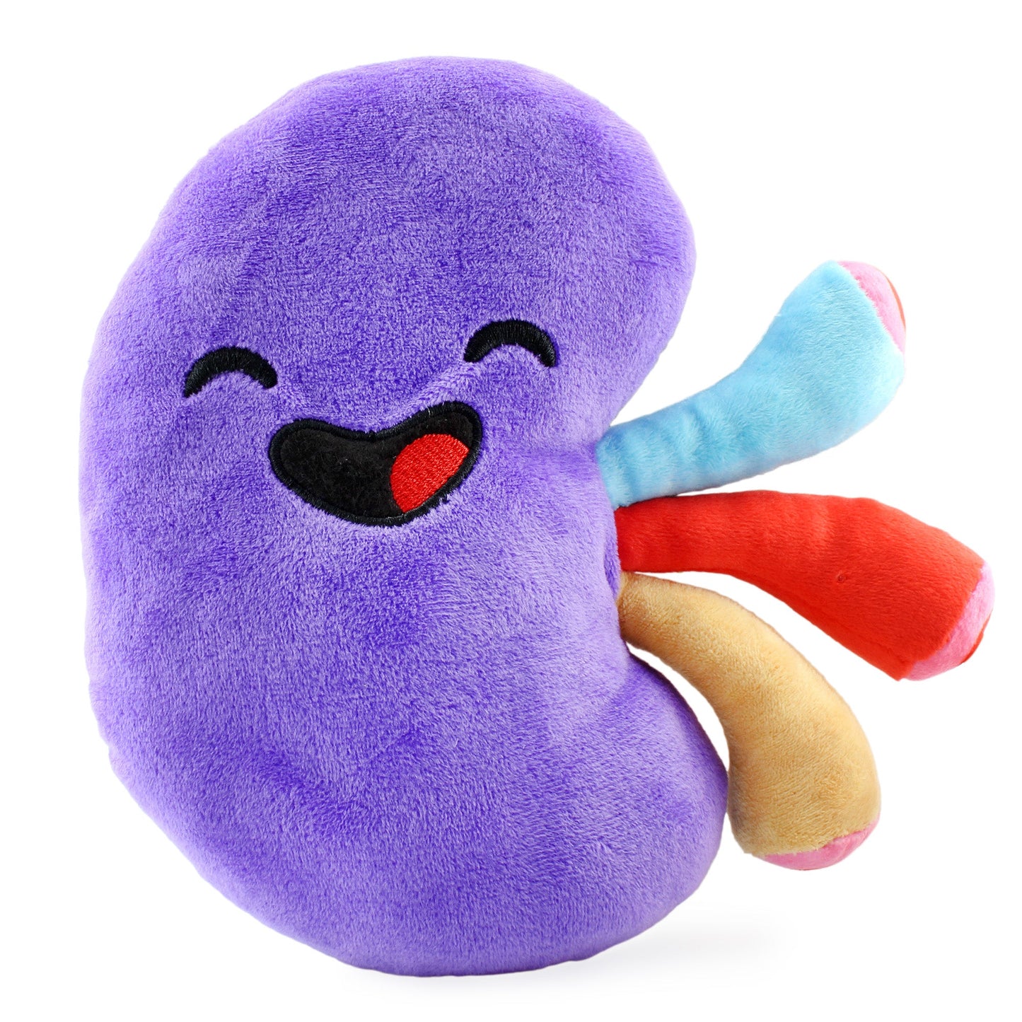 Plush Kidney, Stuffed Body Organ Toy