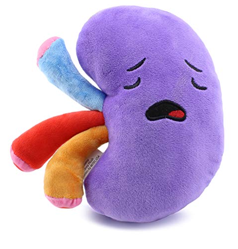 Plush Kidney, Stuffed Body Organ Toy