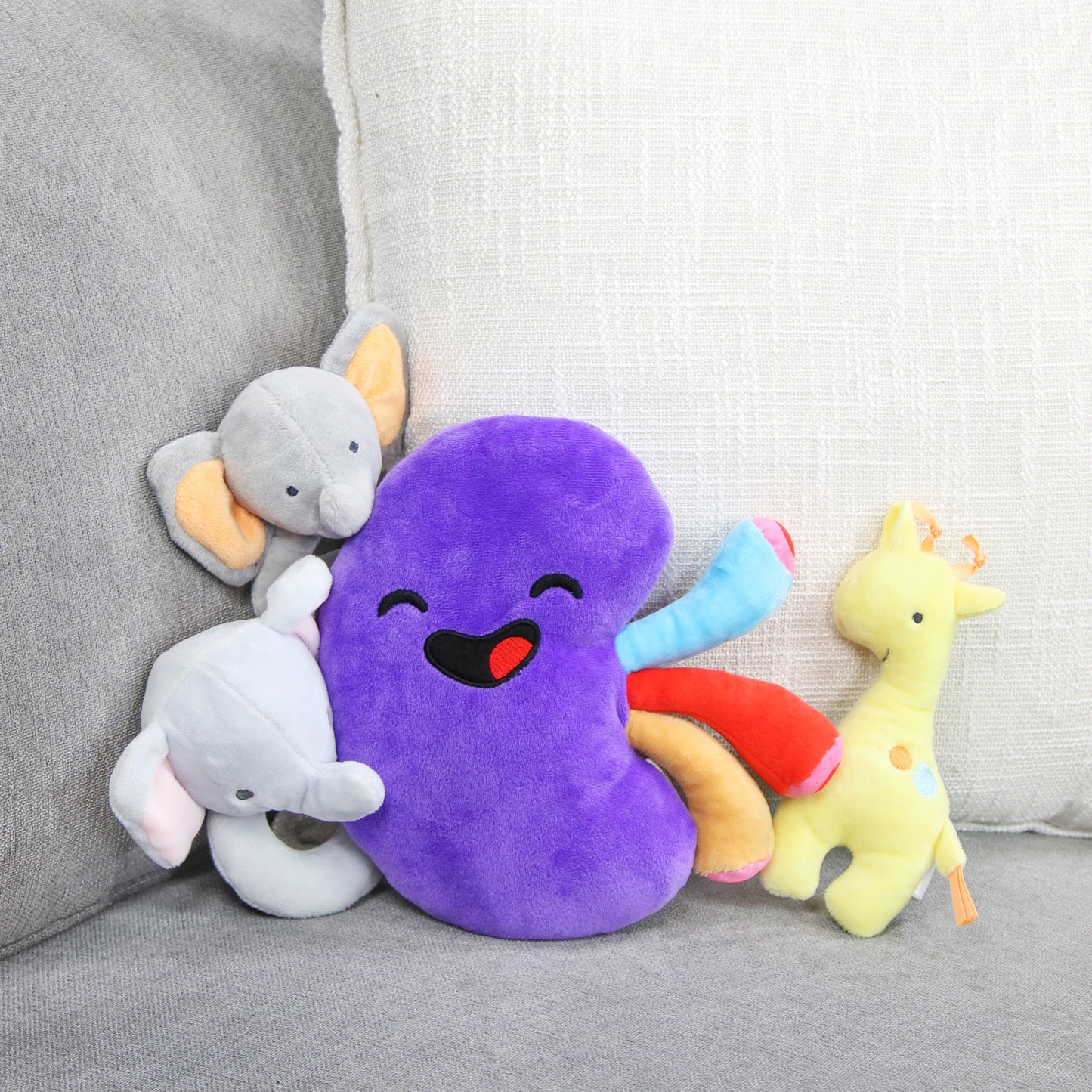 Plush Kidney, Stuffed Body Organ Toy