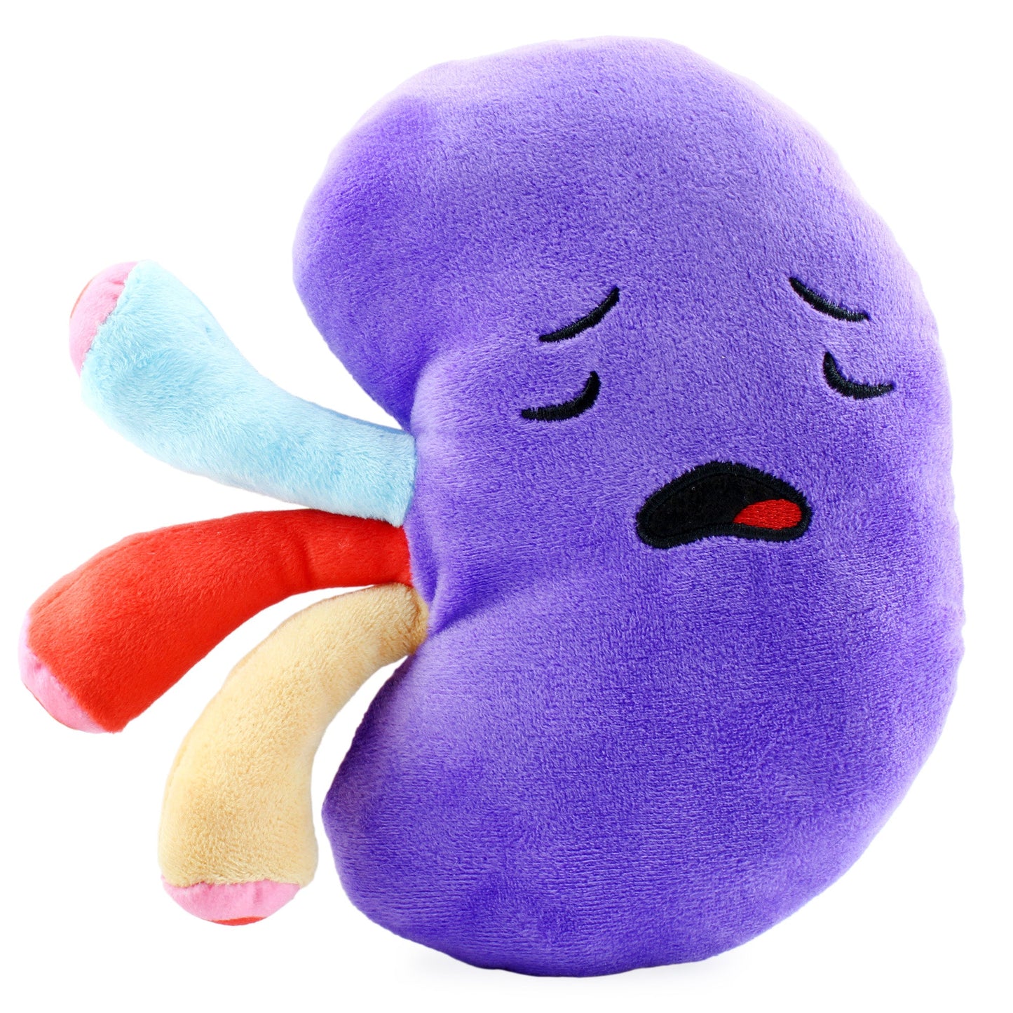Plush Kidney, Stuffed Body Organ Toy