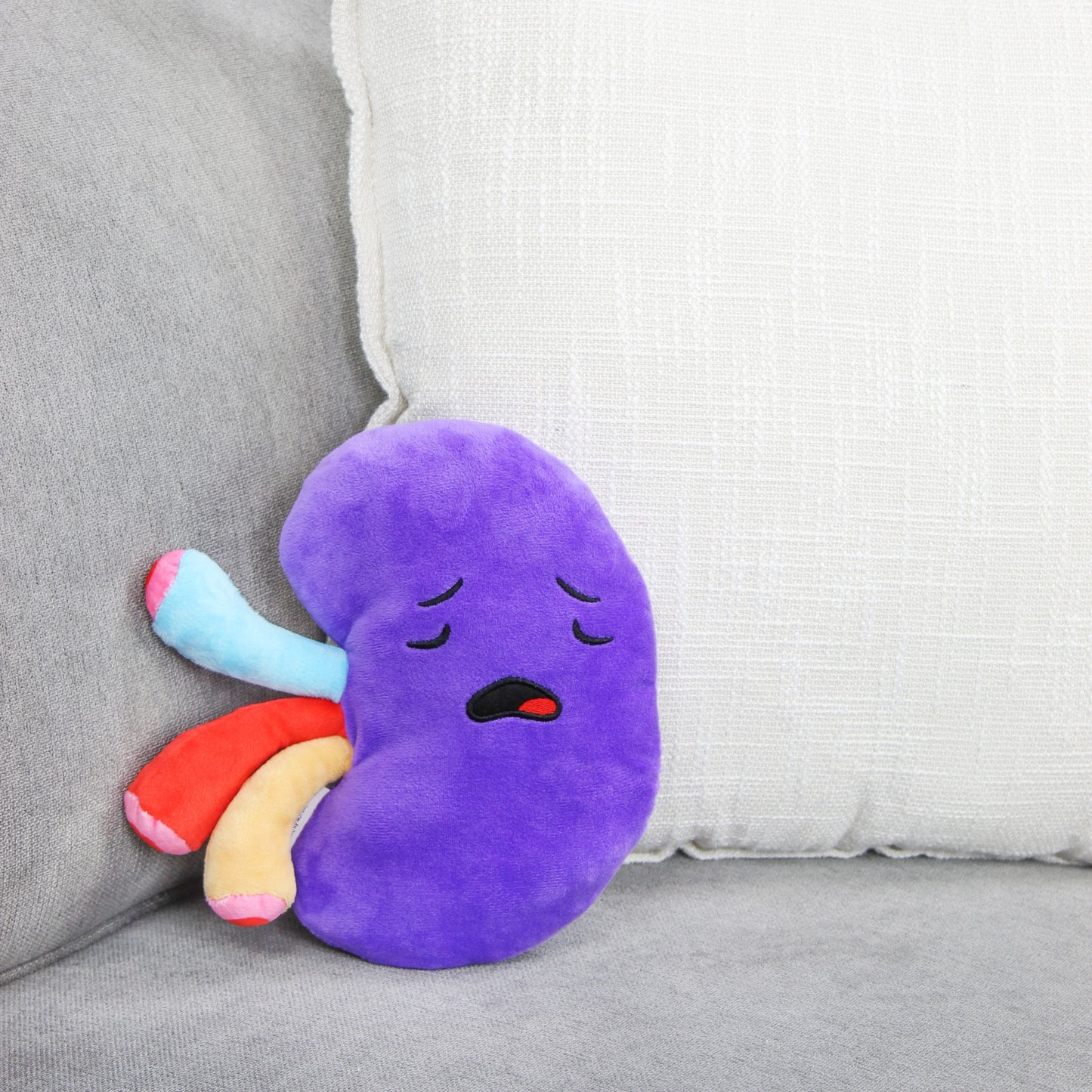 Plush Kidney, Stuffed Body Organ Toy