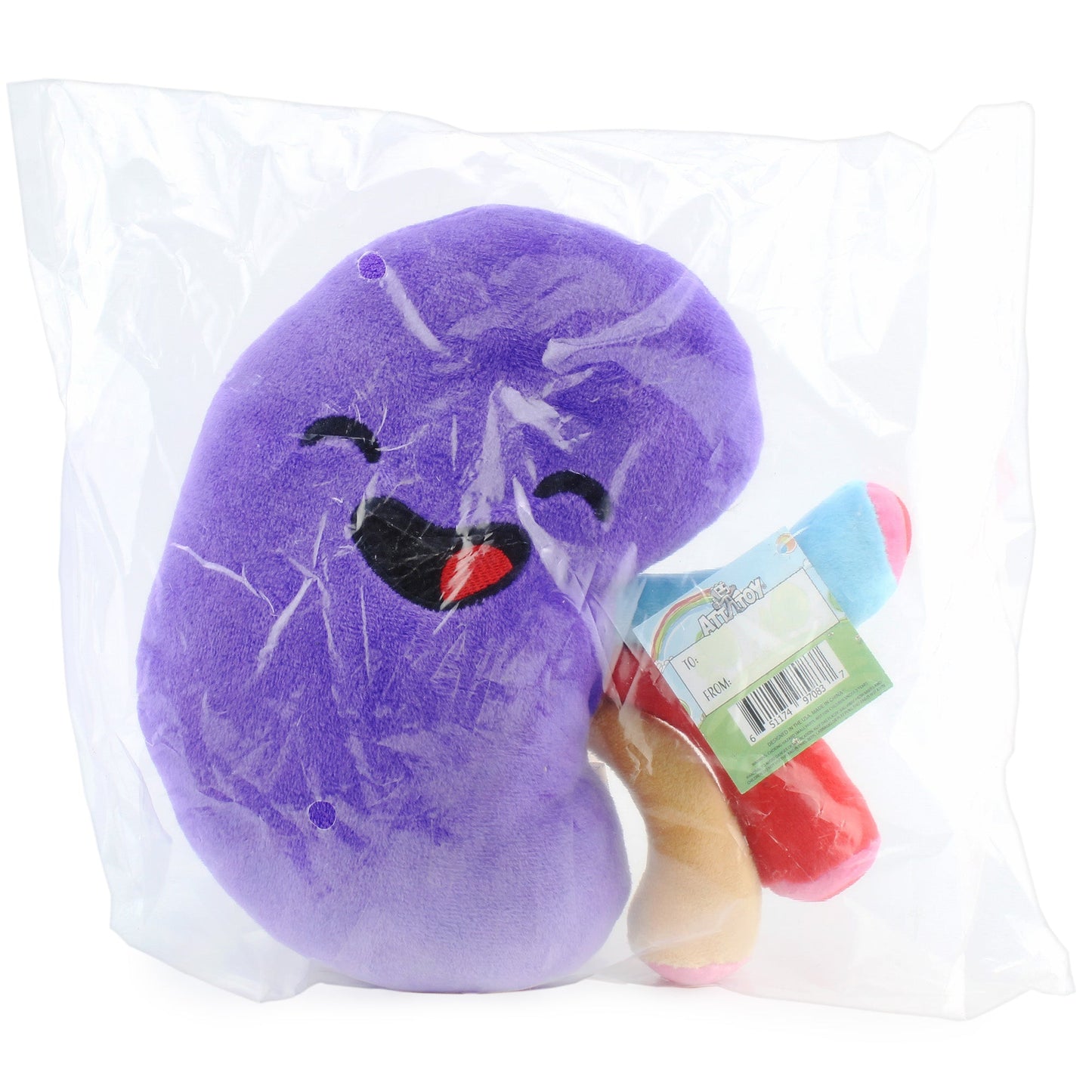 Plush Kidney, Stuffed Body Organ Toy