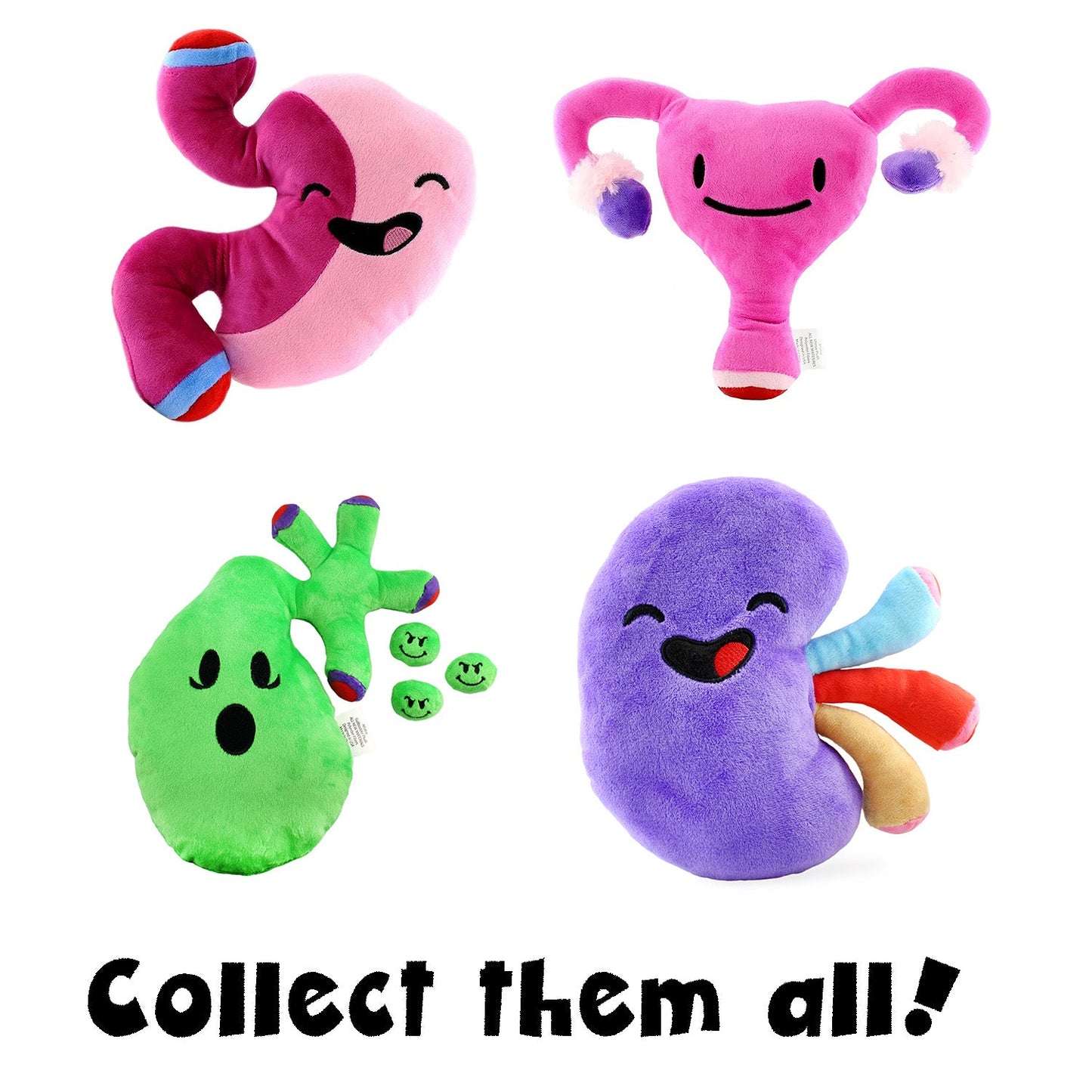 Plush Kidney, Stuffed Body Organ Toy