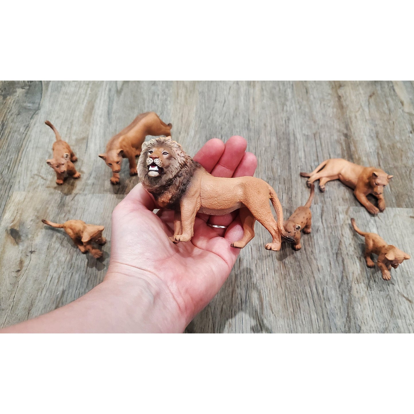 Lion Figure Family (7-Piece Set)
